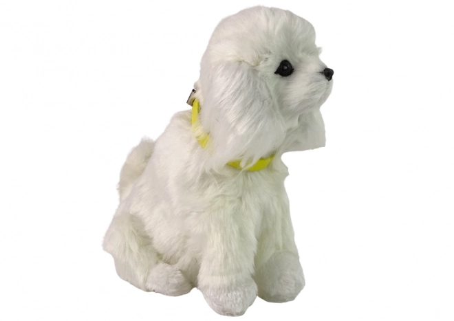 Chien interactif caniche Chien en peluche qui aboie et remue la queue