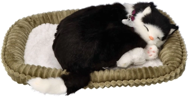 Jouet interactif Perfect Petzzz chat noir et blanc