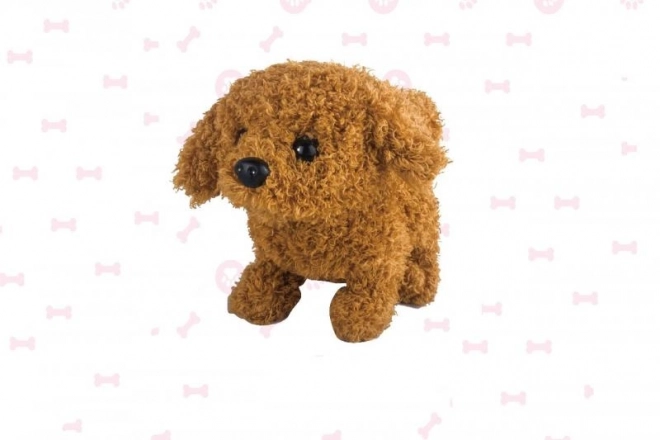 Caniche à piles