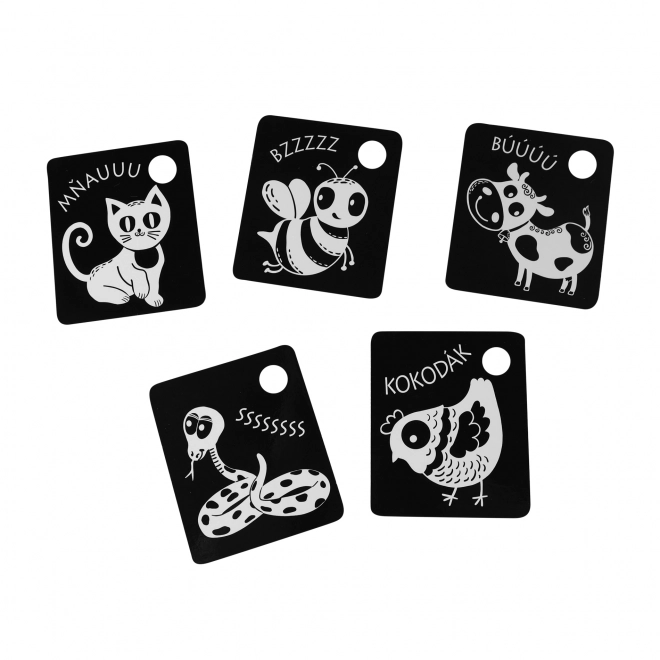 Cartes contrastées pour enfants noir et blanc