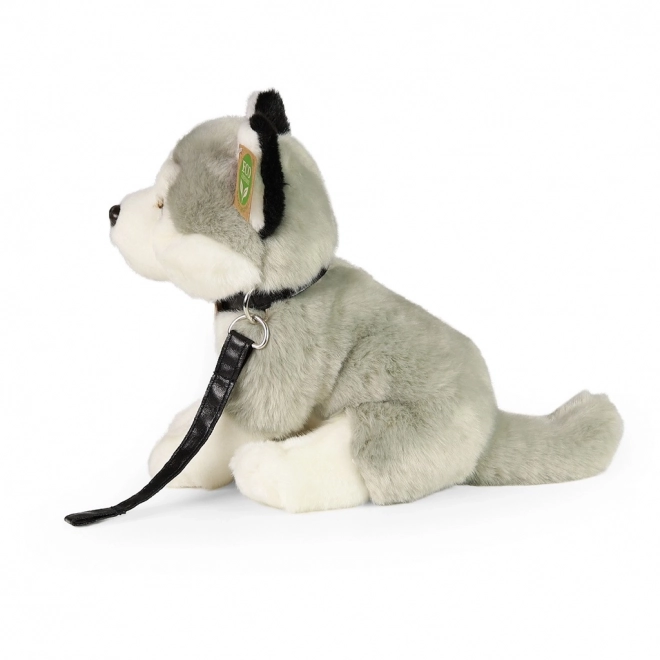 Chien en peluche Husky avec laisse 28 cm de Rappa