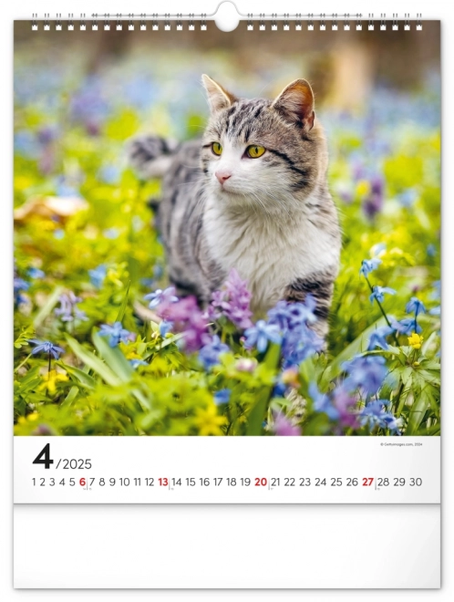 Calendrier mural Chats 2025, 30 × 34 cm