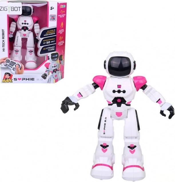 Compagnon robotique Sophie MaDe