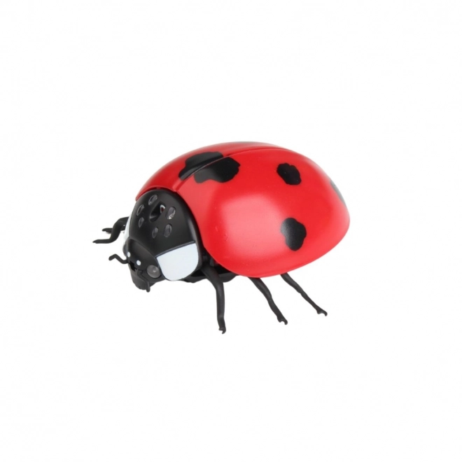 Coccinelle RC télécommandée