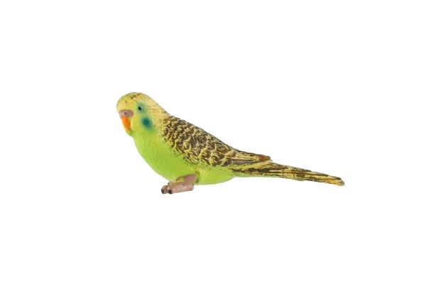 Couleurs et détails fidèles