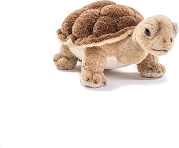 Conception sûre pour les enfants dès 0 an