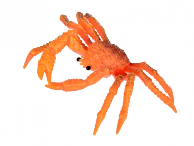 Ensemble d'animaux marins - tortue, homard, poisson-scie, crabe et plus
