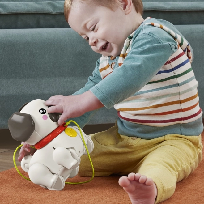 Fisher Price Mopslík Marchant HTW94