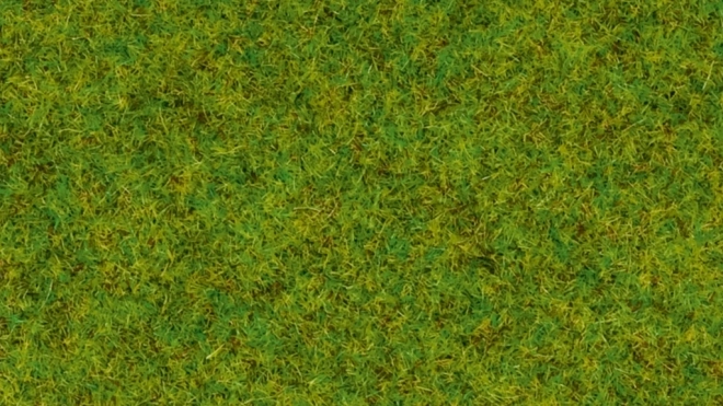 Noch herbe statique prairie printanière 2,5 mm
