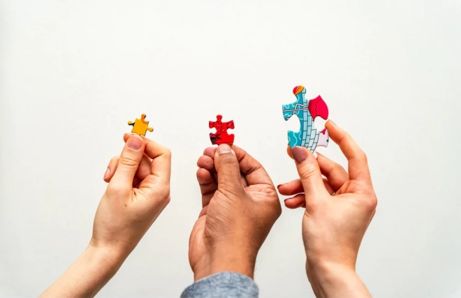 Puzzle Gibsons Édition Limitée Noël Royaume Hivernal des Merveilles 1000 Pièces