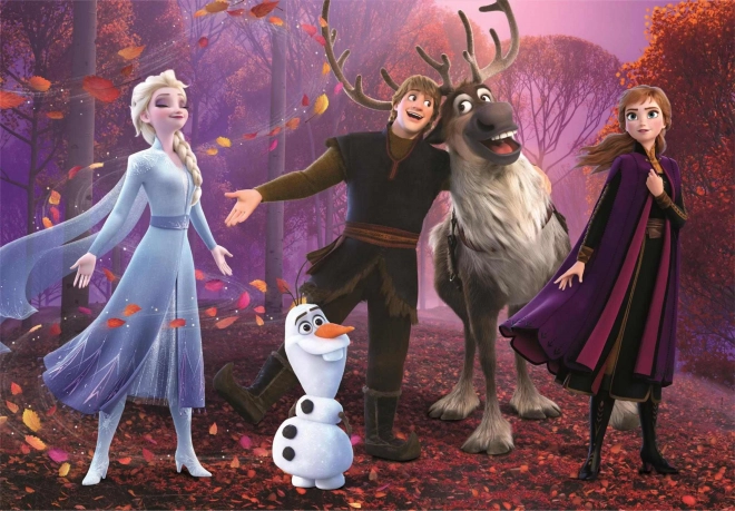 CLEMENTONI Puzzle La Reine des Neiges 104 pièces
