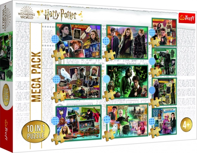 Puzzle Harry Potter - Dans le monde d'Harry Potter 10 en 1
