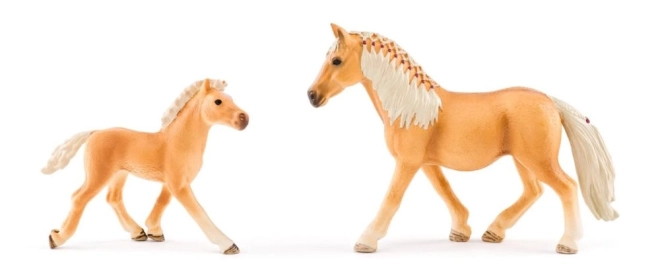Écurie en bois pour 6 chevaux