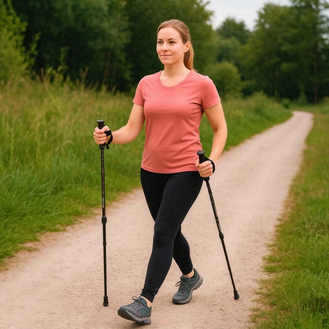 Bâtons de trekking pliants Nordic Walking, noirs, 2 pcs