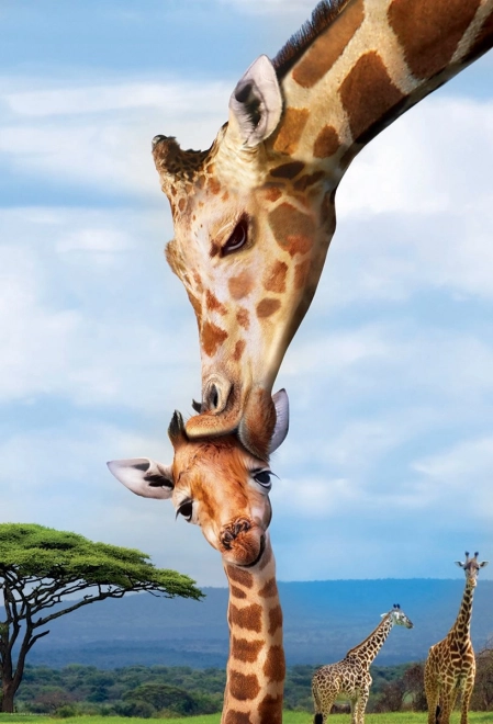 Eurographics Puzzle Save Our Planet : girafes XL 250 pièces