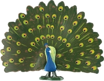 Couleurs réalistes et détails du plumage