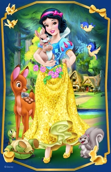 Minipuzzle Belles princesses/Disney Princess 54 pièces