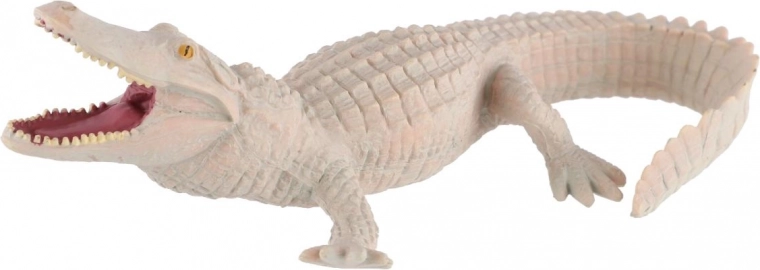 Détails réalistes et texture