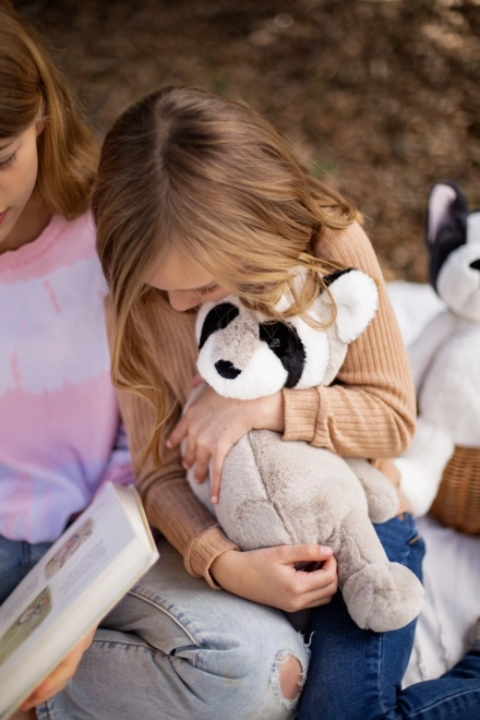 Raton laveur en peluche mignon