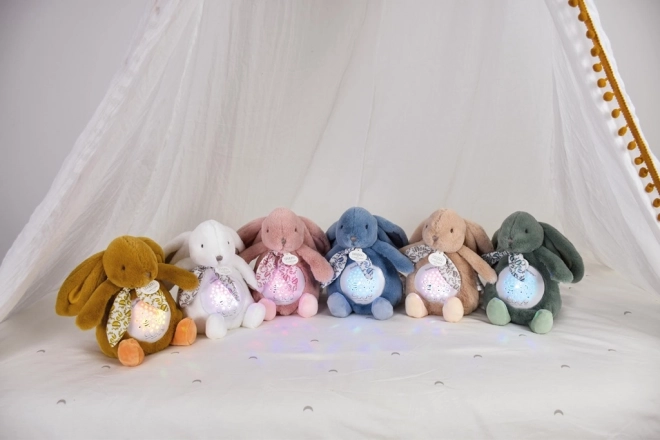 Boîte à musique Lapin avec projection Doudou
