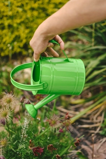 Le plaisir d’arroser pour les petits jardiniers