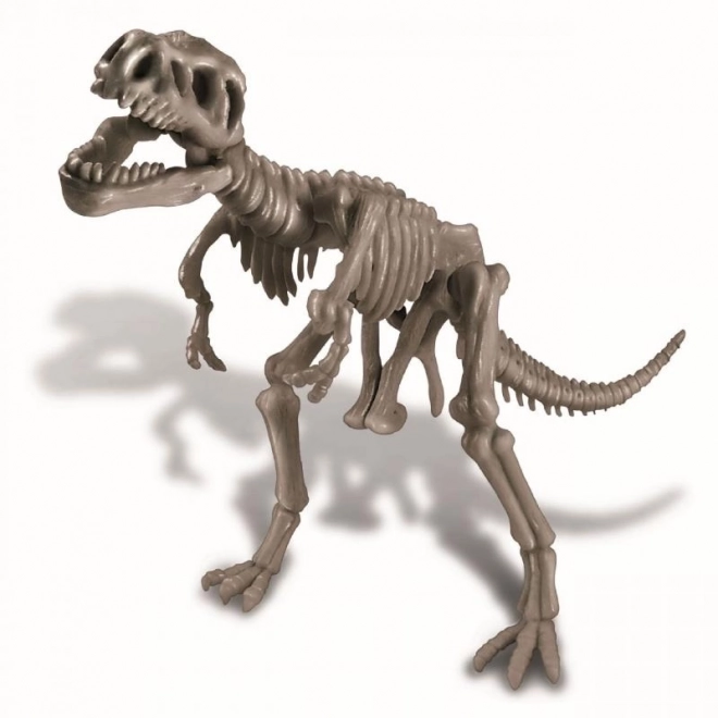 Squelette de dinosaure - REX