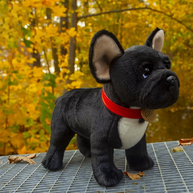 Bouledogue français en peluche noir avec collier debout 30 cm ECO-FRIENDLY