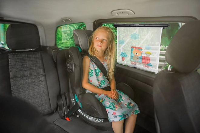 Pare-soleil enroulable pour voiture, Renard