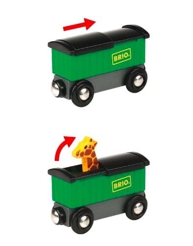 Train Safari