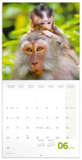 Calendrier de notes Bébés 2025, 30 × 30 cm