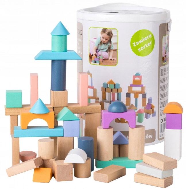 Blocs en bois 100 pcs dans un seau avec trieur Ecotoys