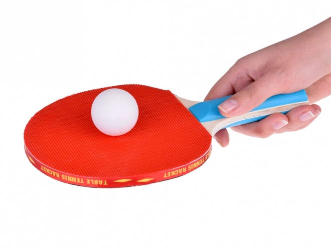 Raquettes de ping-pong en bois avec balles