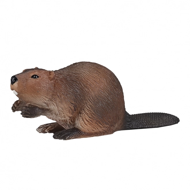 Mojo Castor
