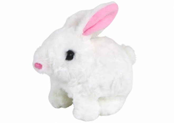 Jouet interactif : lapin à poils courts blanc