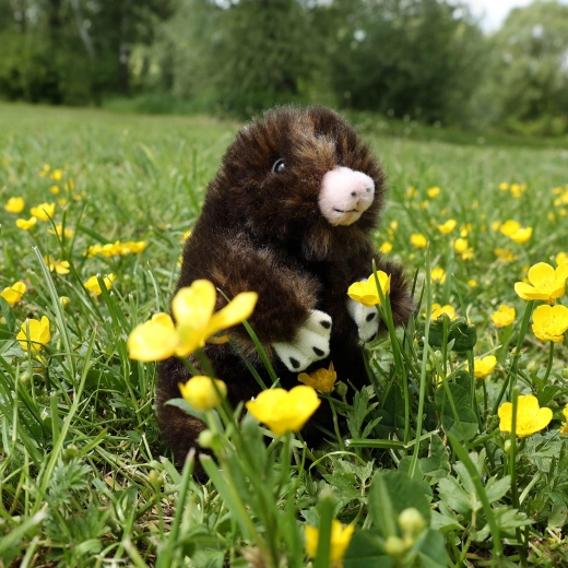 Détails réalistes et peluche douce