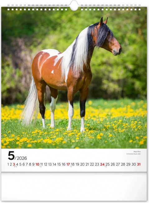 Calendrier mural Chevaux 2026