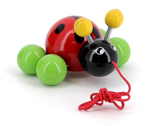 Structure en bois laqué lisse