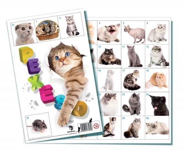 Pexeso Chats jeu de société 32 paires d'images