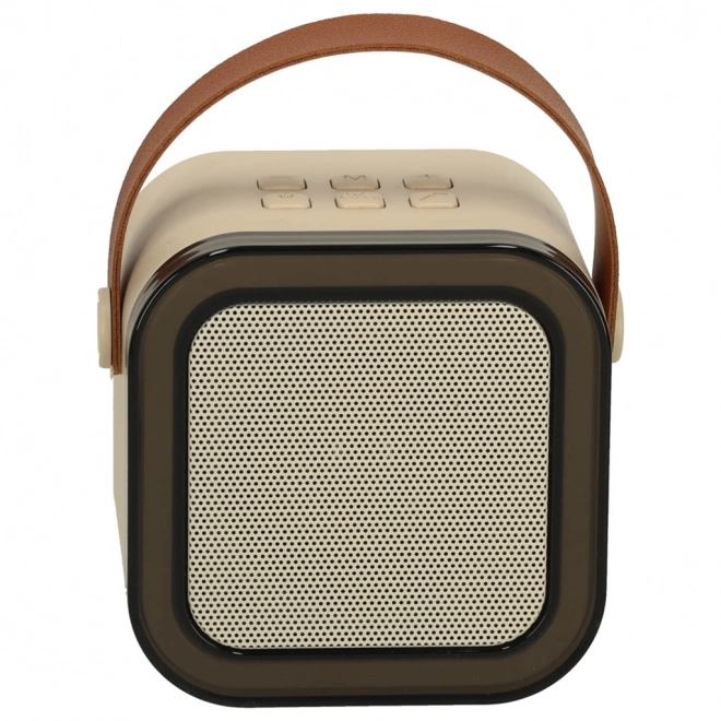 Ensemble Karaoke 2 microphones + haut-parleur portable BLUETOOTH USB LED couleur beige