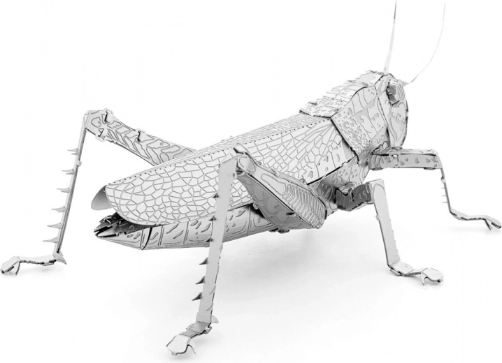 Pièce de collection en métal à exposer