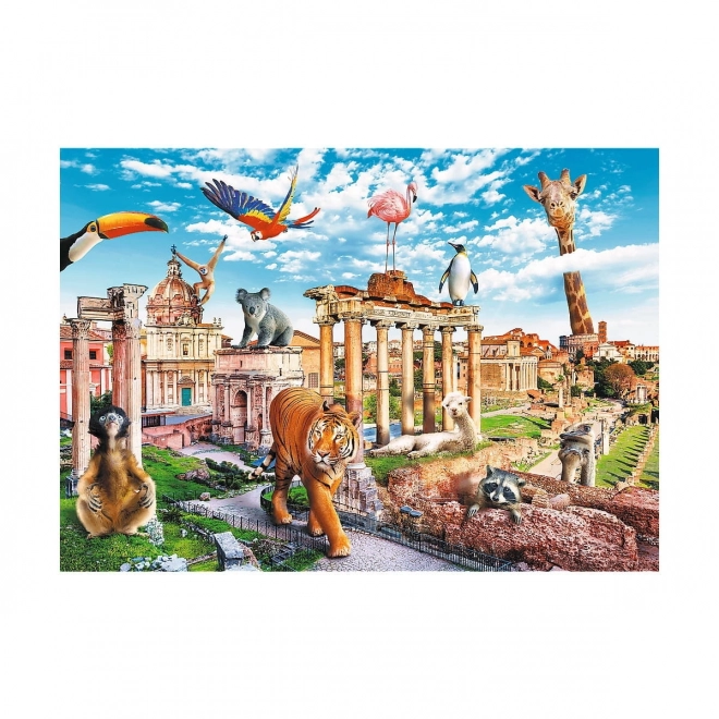 Puzzle Villes Amusantes - Rome Sauvage 1000 pièces
