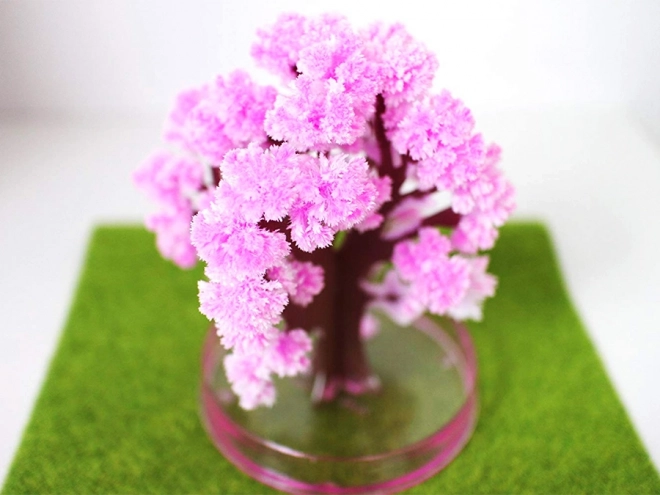 Arbre magique Sakura