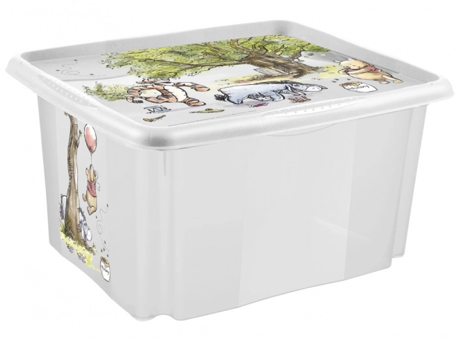 Boîte de rangement avec couvercle grande "Winnie", Transparent II