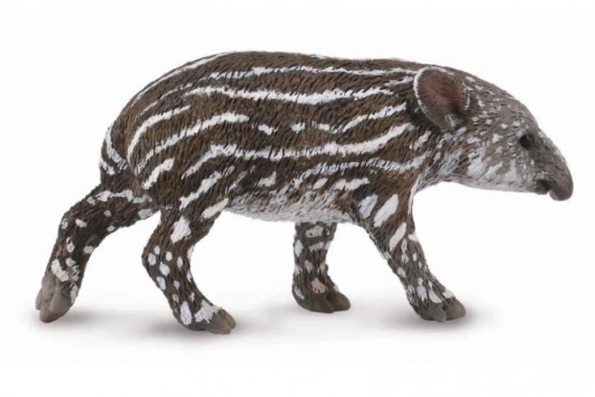 Tapir - Jeune