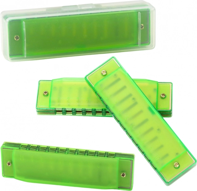 Harmonica diatonique verte pour enfants et débutants avec étui