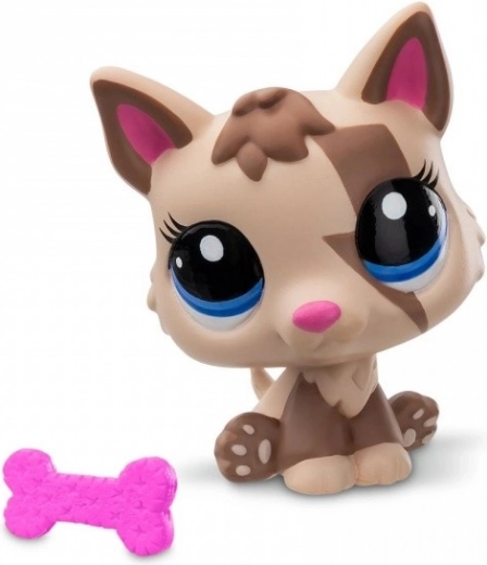 Accessoire et carte de collection dans la boîte