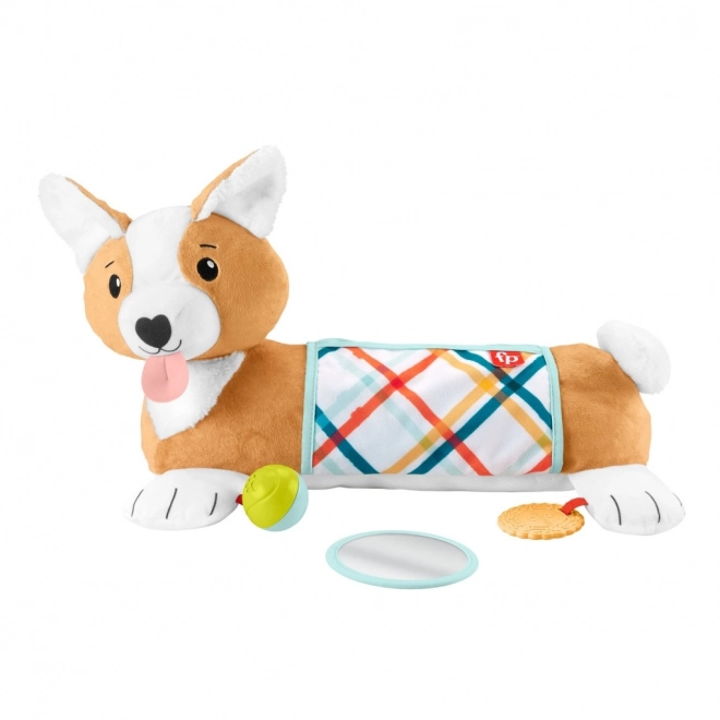 Coussin ventre pour bébés Fisher-Price