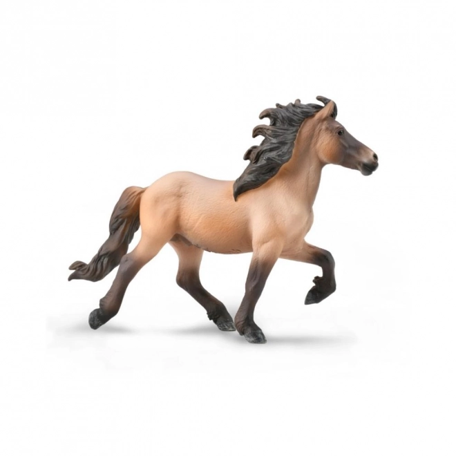 Collecta étalon islandais bay dun