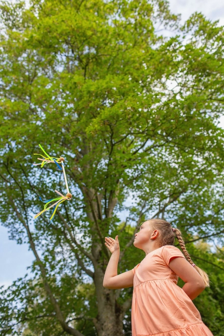 Bâton Twirling