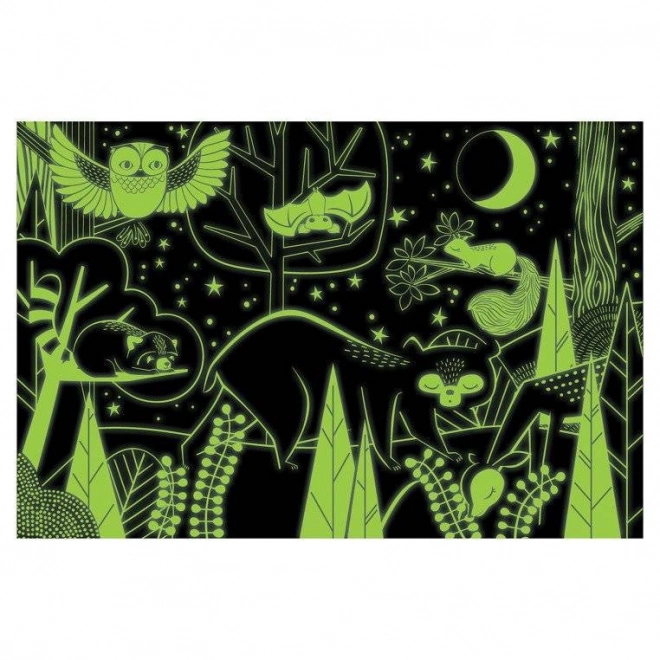 Visualisez la forêt nocturne